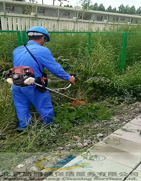 鐵道綠化(圖1)